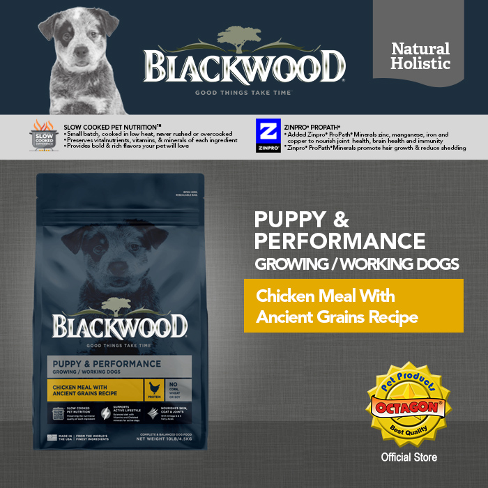 Blackwood Puppy & Performance